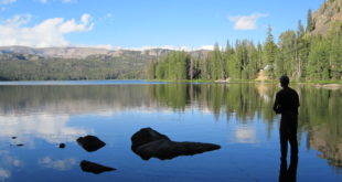 Fishing Beartooth Pass